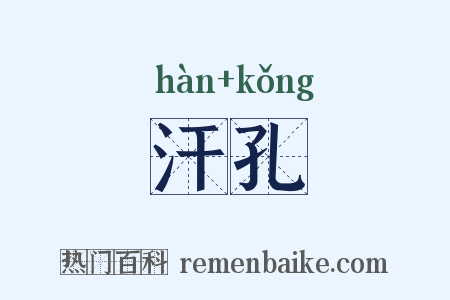 汗孔是什么意思的图片
